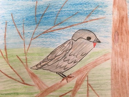 Нарисовать воробья