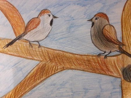 Детские рисунки воробья