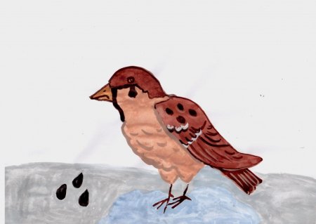 Птицы рисование в средней группе Воробей