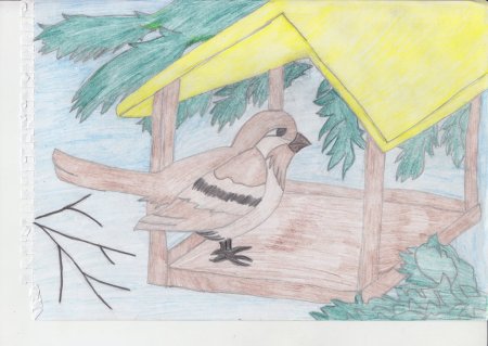 Кормушка для птиц рисунок