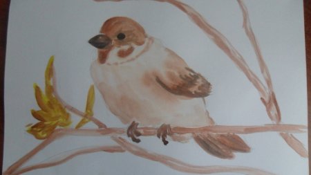 Рисование воробья в подготовительной группе