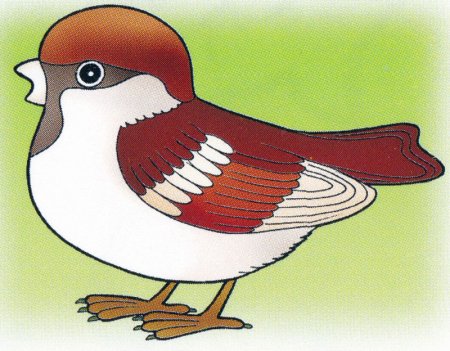 Воробей картинка для детей