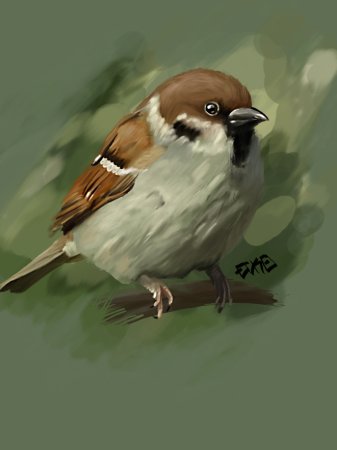 Воробьи мультяшные