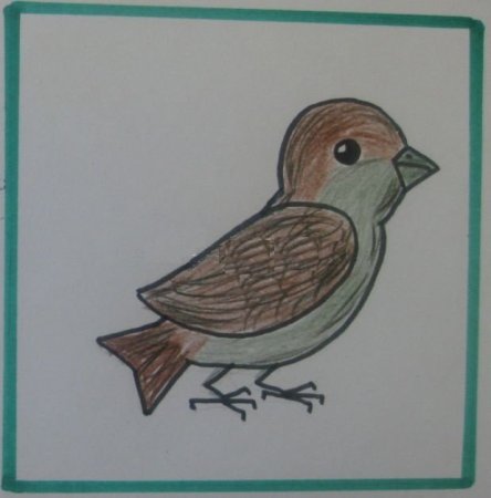 Нарисовать воробья