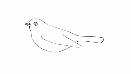 Воробей рисунок карандашом