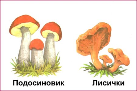 Грибочки для детей