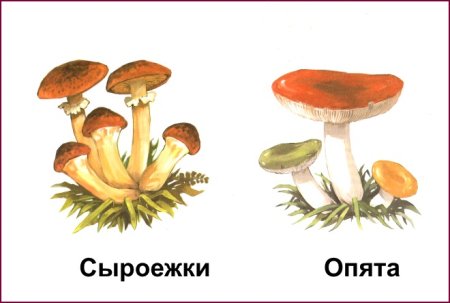 Грибочки для детского сада