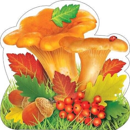 Мухомор для дошкольников