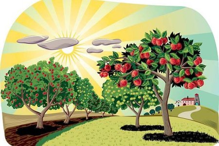 Сад с фруктовыми деревьями для детей