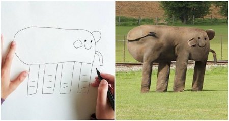 Рисунки в реальной жизни