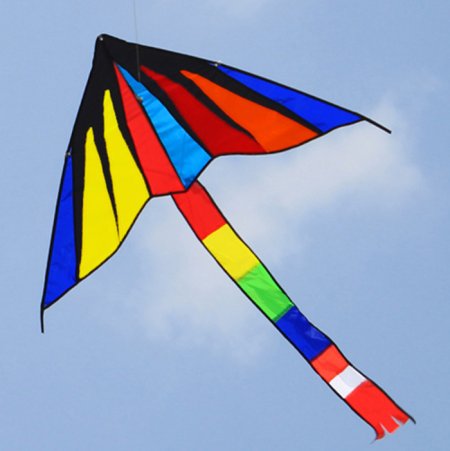 Воздушные змеи дети