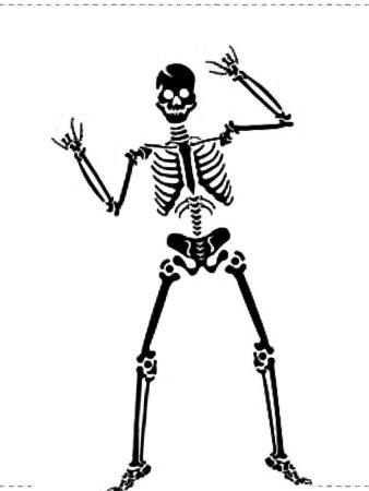 Скелет детский рисунок (51 фото)