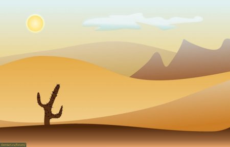 Пустыня для детей