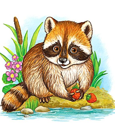 Енот для дошкольников