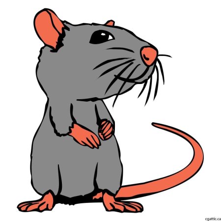 Картун rat
