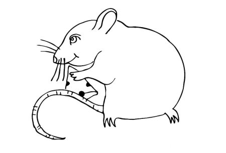 Крыса для раскрашивания
