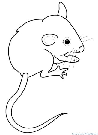 Рисунок мышки для срисовки