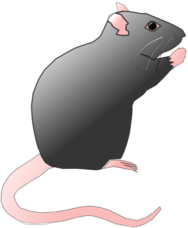 Мультяшные Грызуны