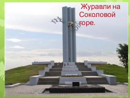 Саратов парк Победы Журавли