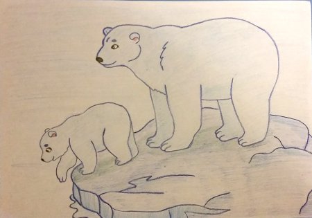 Белый медведь раскраска для детей
