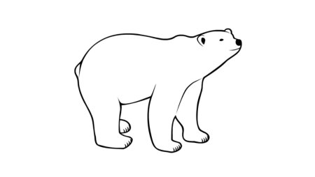 Рисование белого медведя