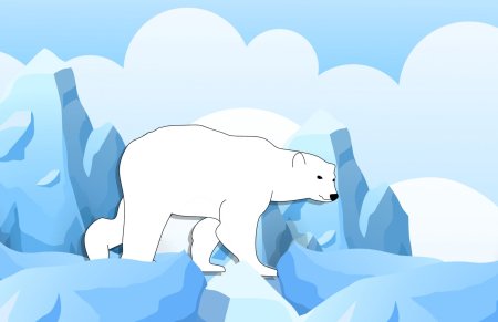 Белый медведь рисунок детский (53 фото)