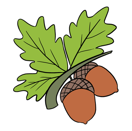 Желудь шаблон