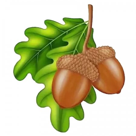 Желуди мультяшные