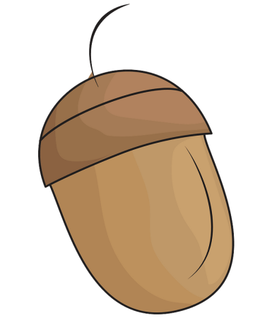 Желуди для детей без фона