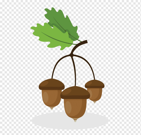 Желудь для детей