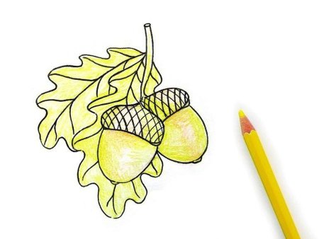 Желуди для украшения группы