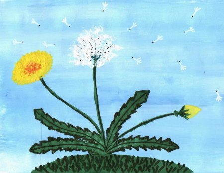 Рисование с детьми одуванчики