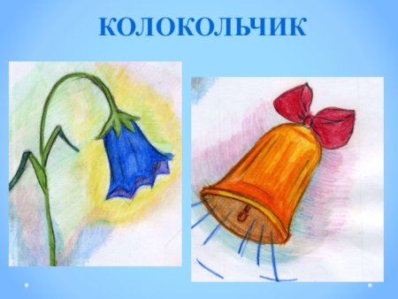 Раскраска колокольчик цветок