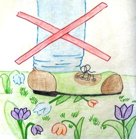 Берегите растения детский рисунок (53 фото)