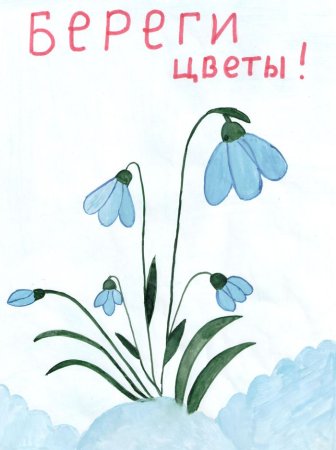 Плакат береги растения