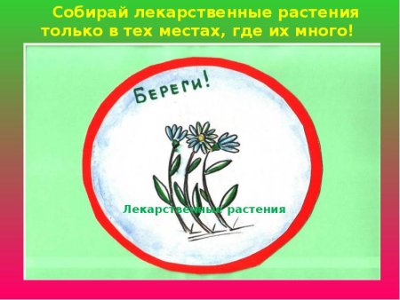 Рисунок на тему растения