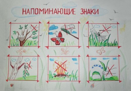 Рисунок берегите растения
