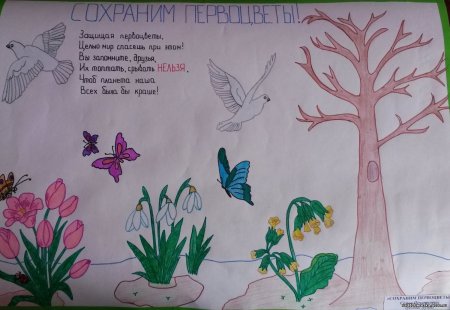 Плакат береги растения