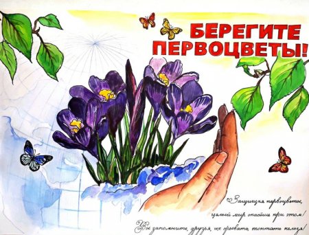 Рисунок берегите растения