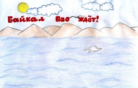Рисунок нерпы на Байкале