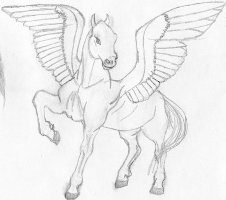 Лошадка с крыльями раскраска