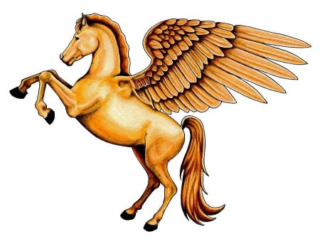 Пегас раскраска