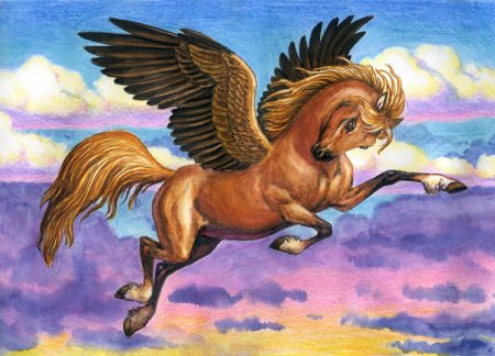 Раскраска лошадь с крыльями