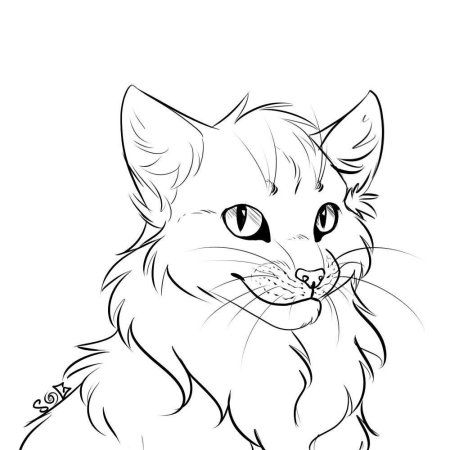 Коты Воители лайны Мейн кун