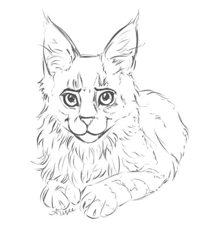 Мейн кун карандашом