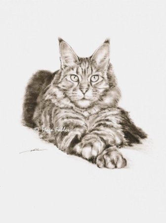 Рисунок Мейн куна