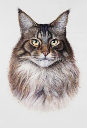 Мейн кун карандашом