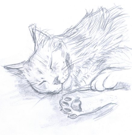 Кошка рисунок карандашом