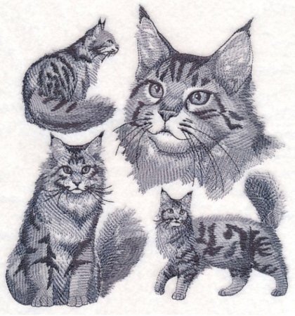 Нарисованный Мейн кун