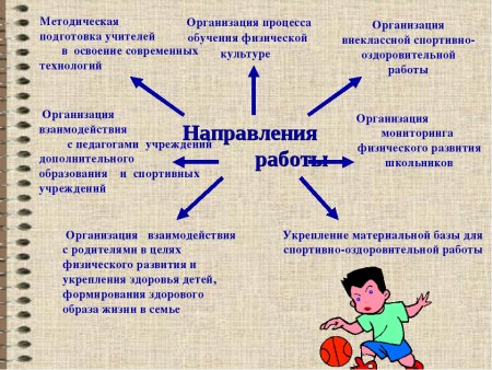 Деятельность учителя физической культуры